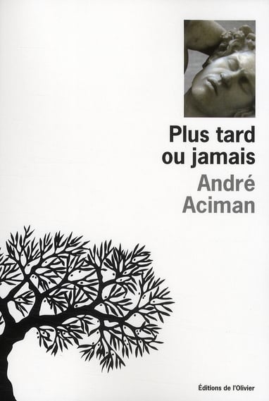 Plus tard ou jamais - Cover