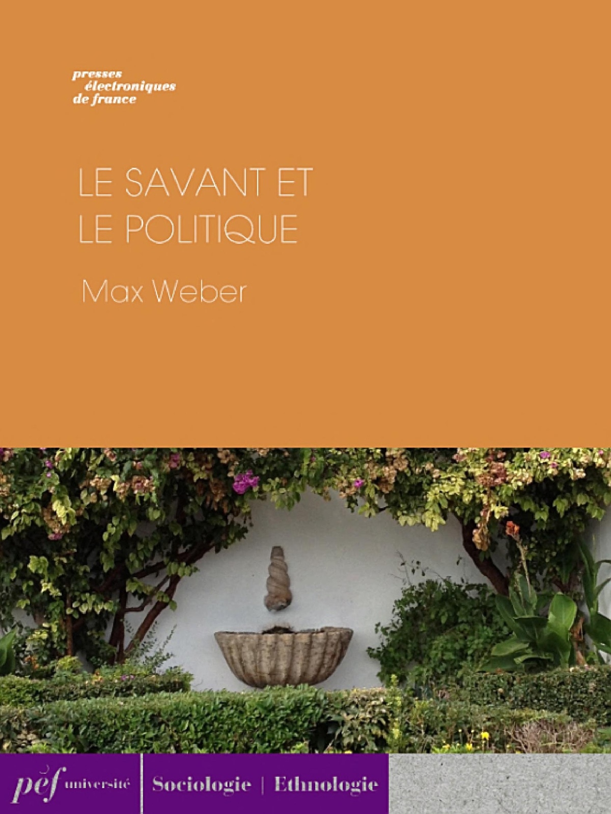 Le savant et le politique