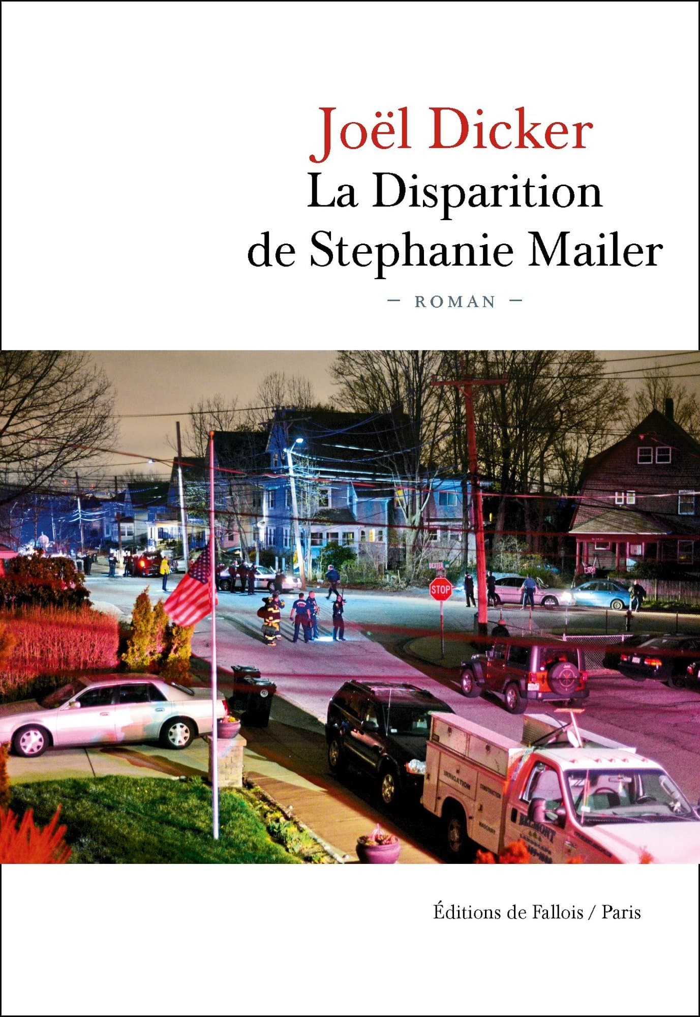 La disparition de Stephanie Mailer - Memory Image