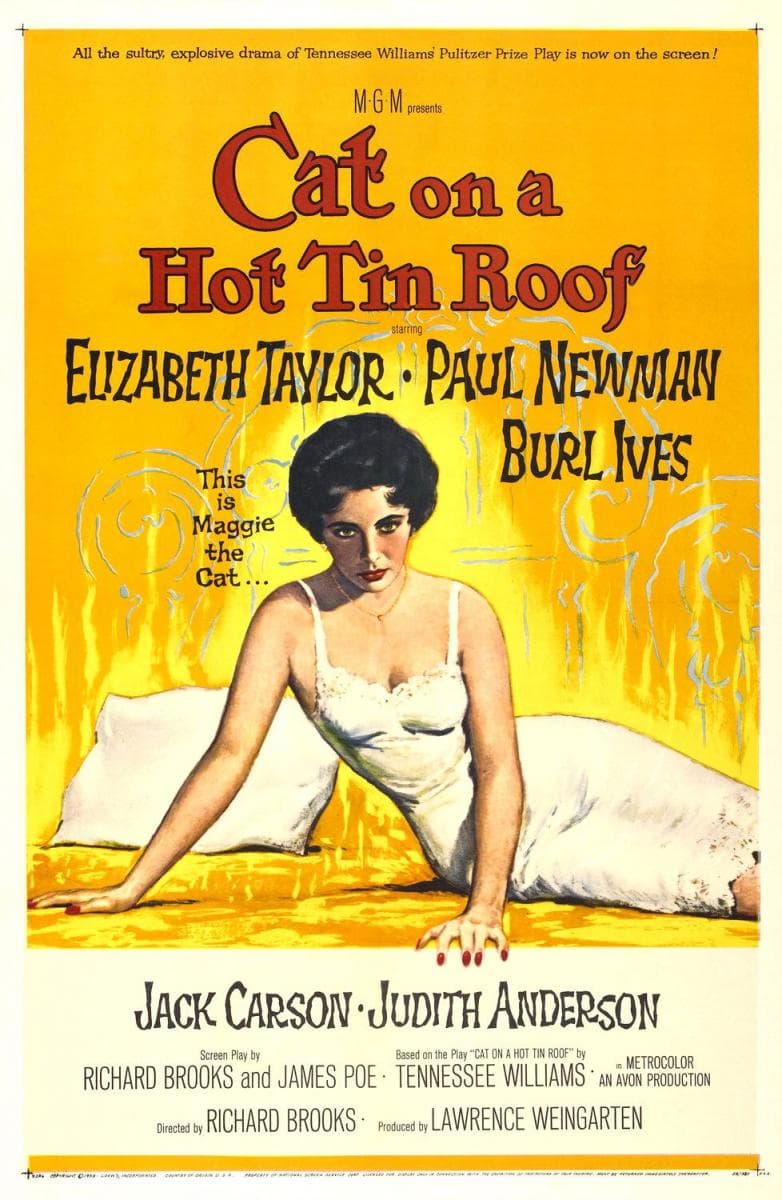 Cat on a Hot Tin Roof - Cover