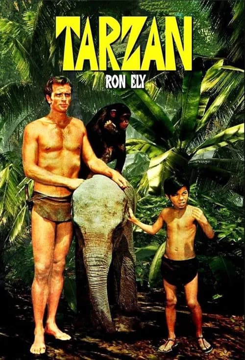 Tarzan - Cover