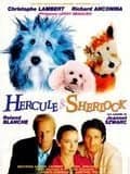 Hercule et Sherlock - Cover