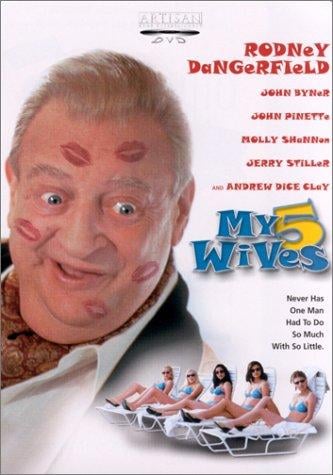 My 5 Wives - Cover