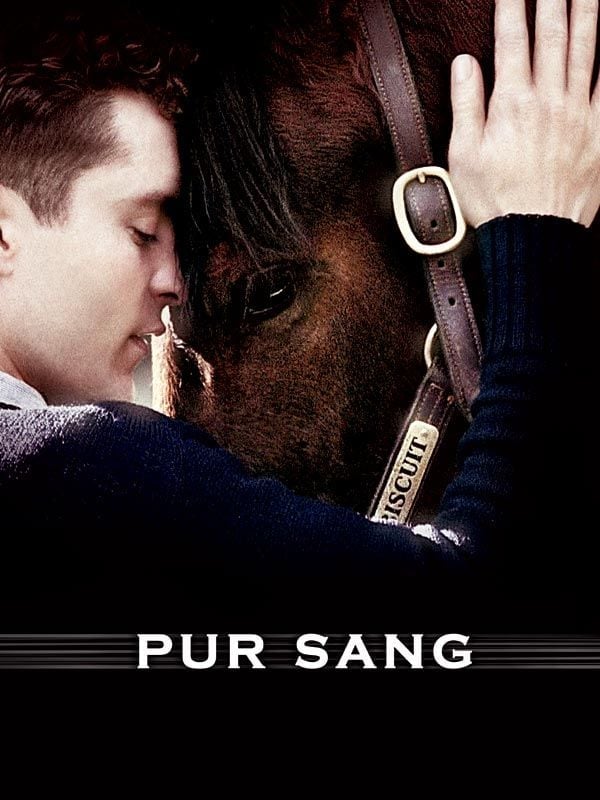 Pur Sang, la légende de Seabiscuit - Cover