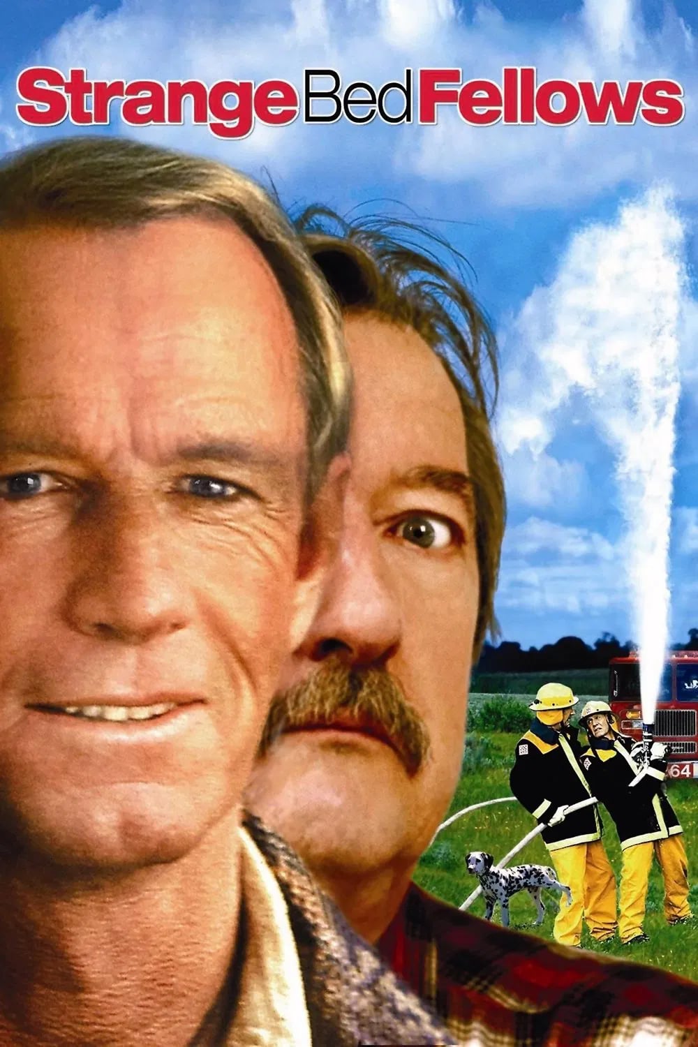 Strange Bedfellows - Cover