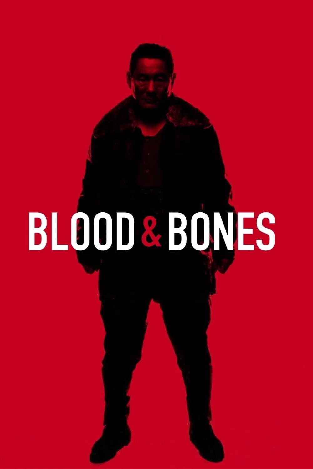 Blood and Bones - Cover