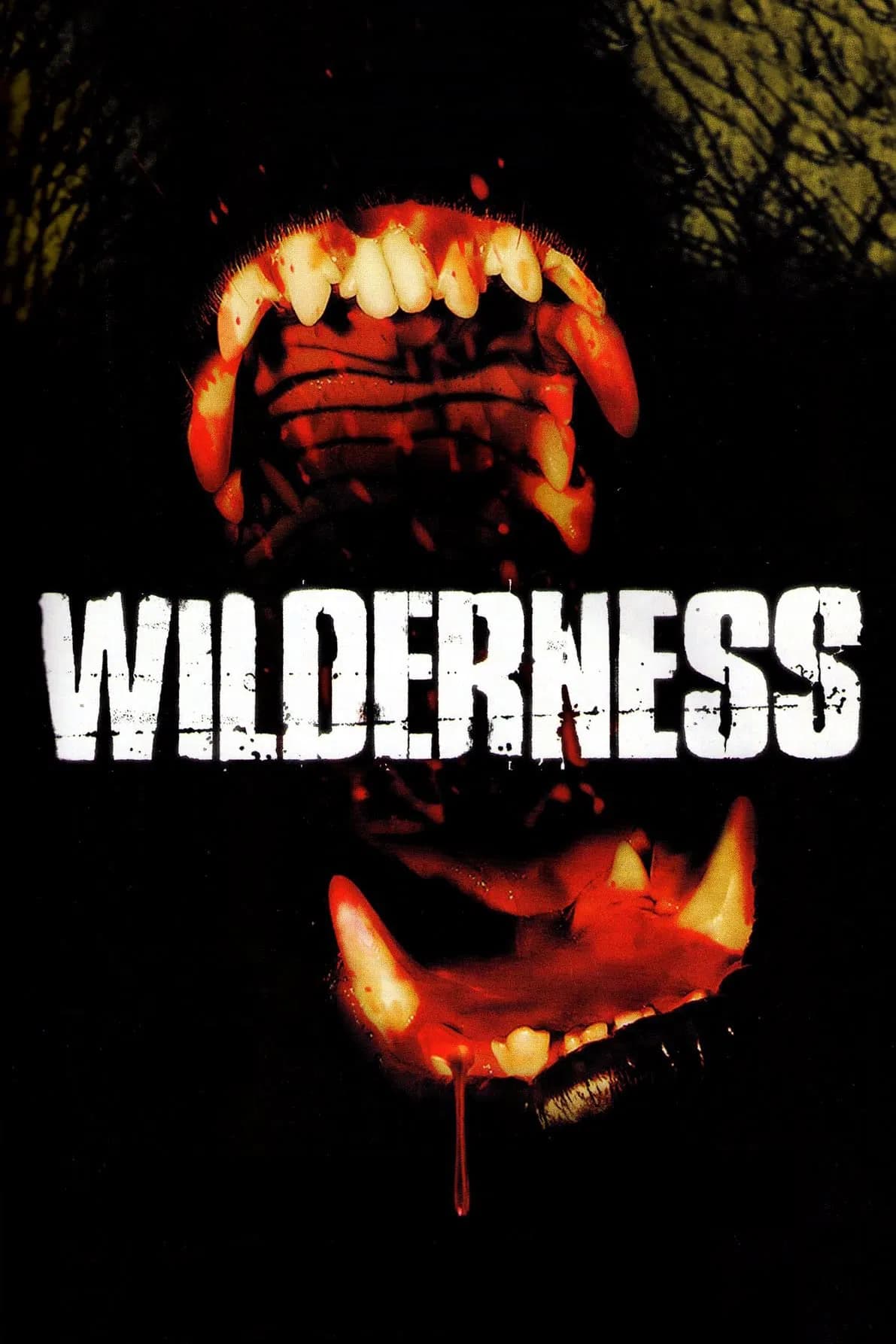 Wilderness - Cover