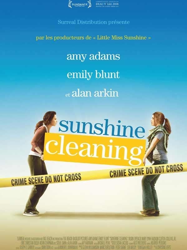 Sunshine Cleaning - Cover