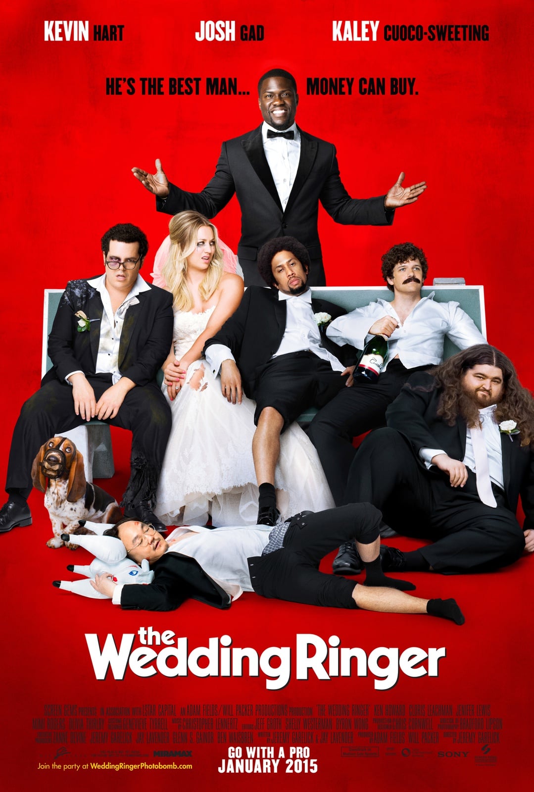The Wedding Ringer - Cover