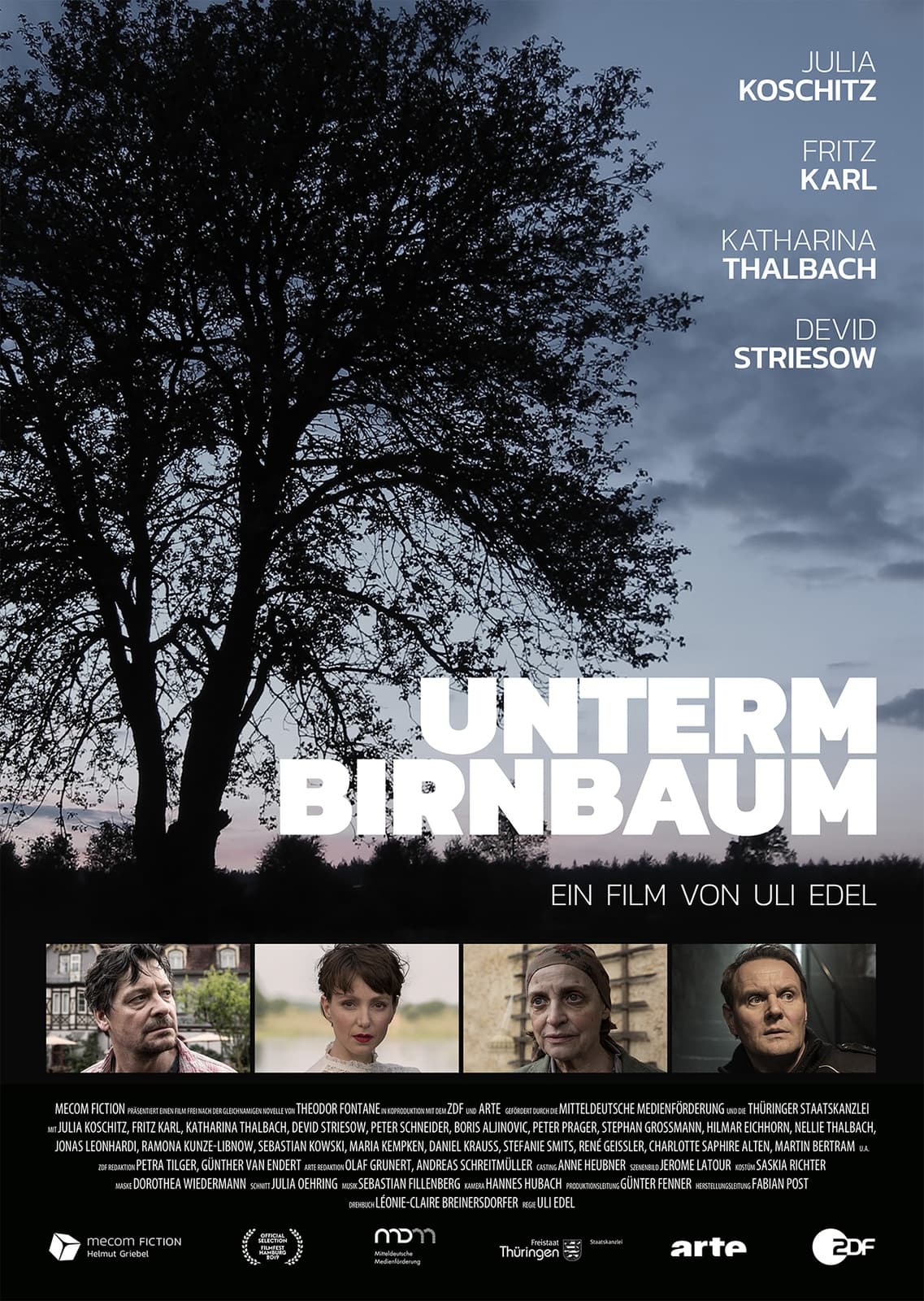 Unterm Birnbaum - Cover