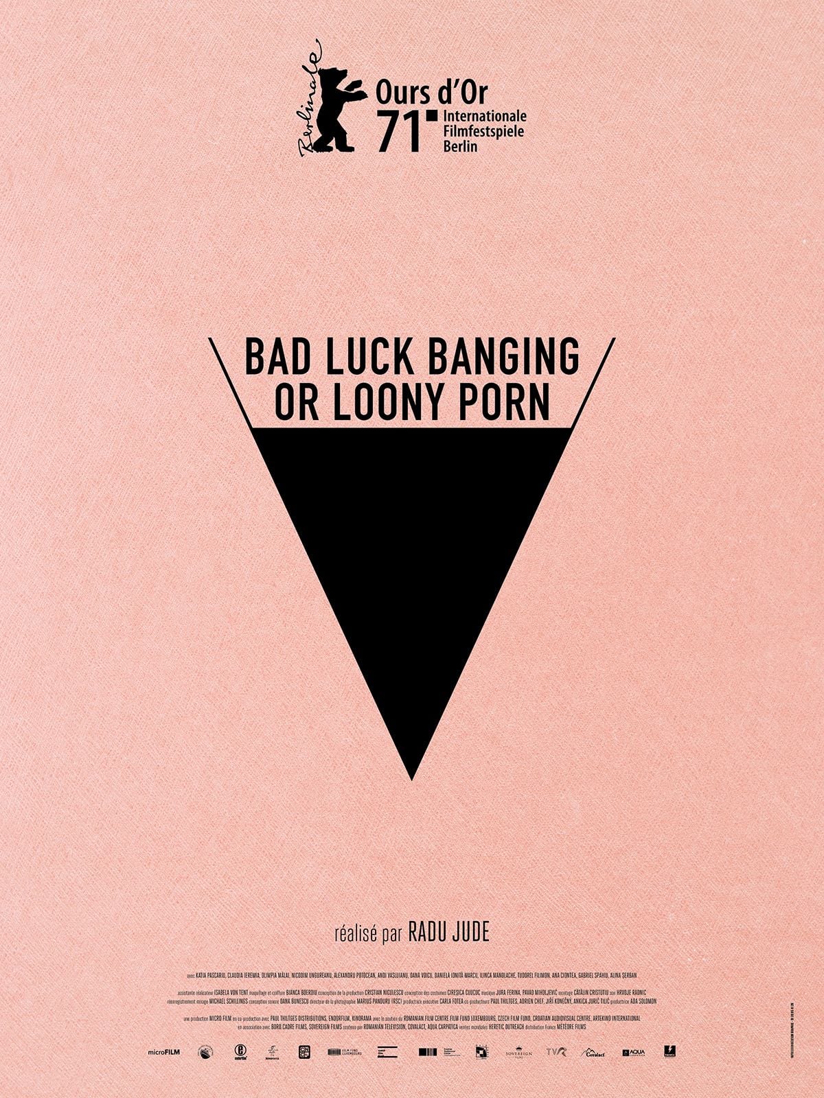 Bad Luck Banging or Loony Porn - Cover