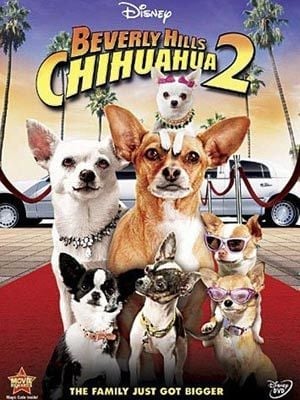 Le Chihuahua de Beverly Hills 2 - Cover
