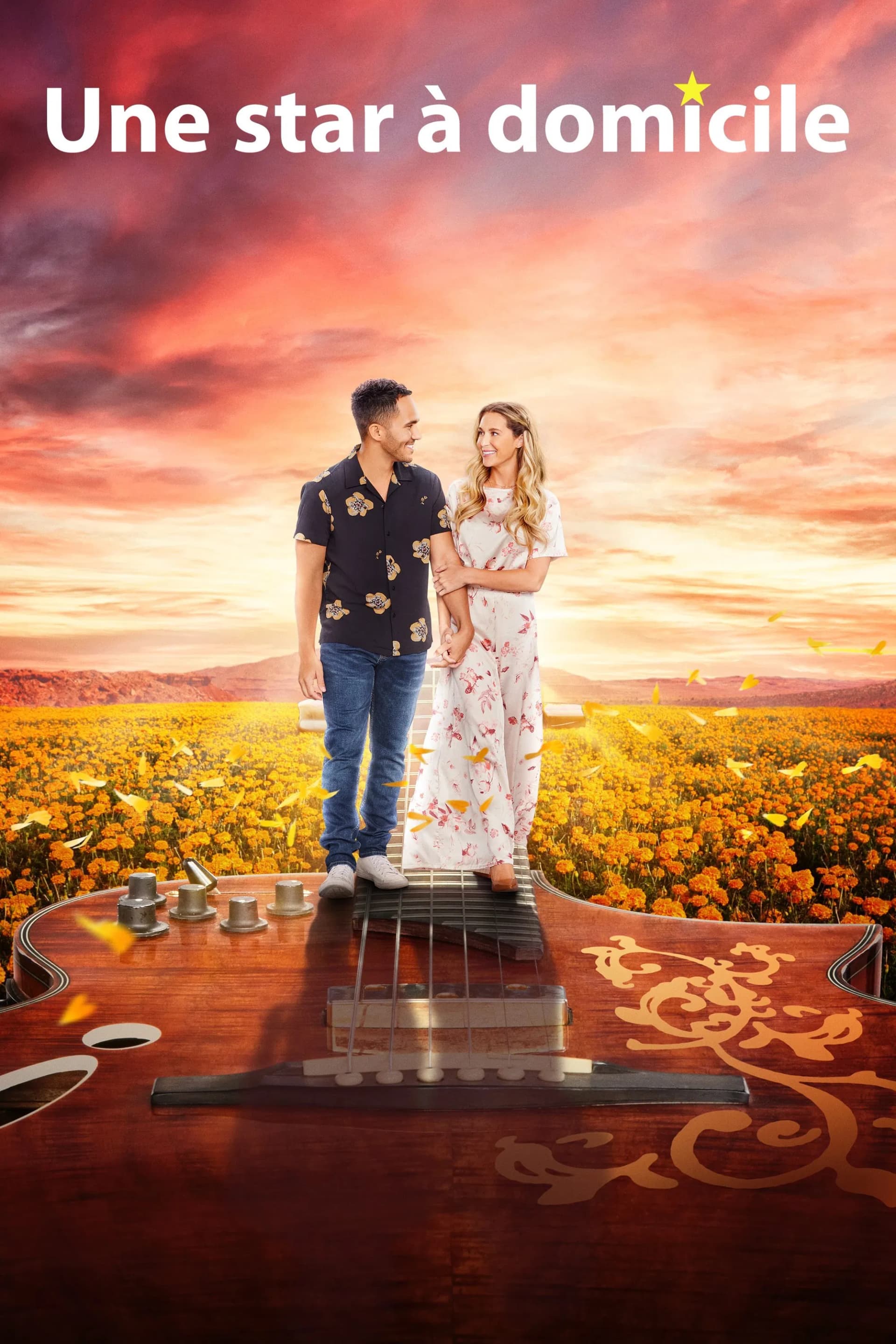 Une star à domicile - Cover