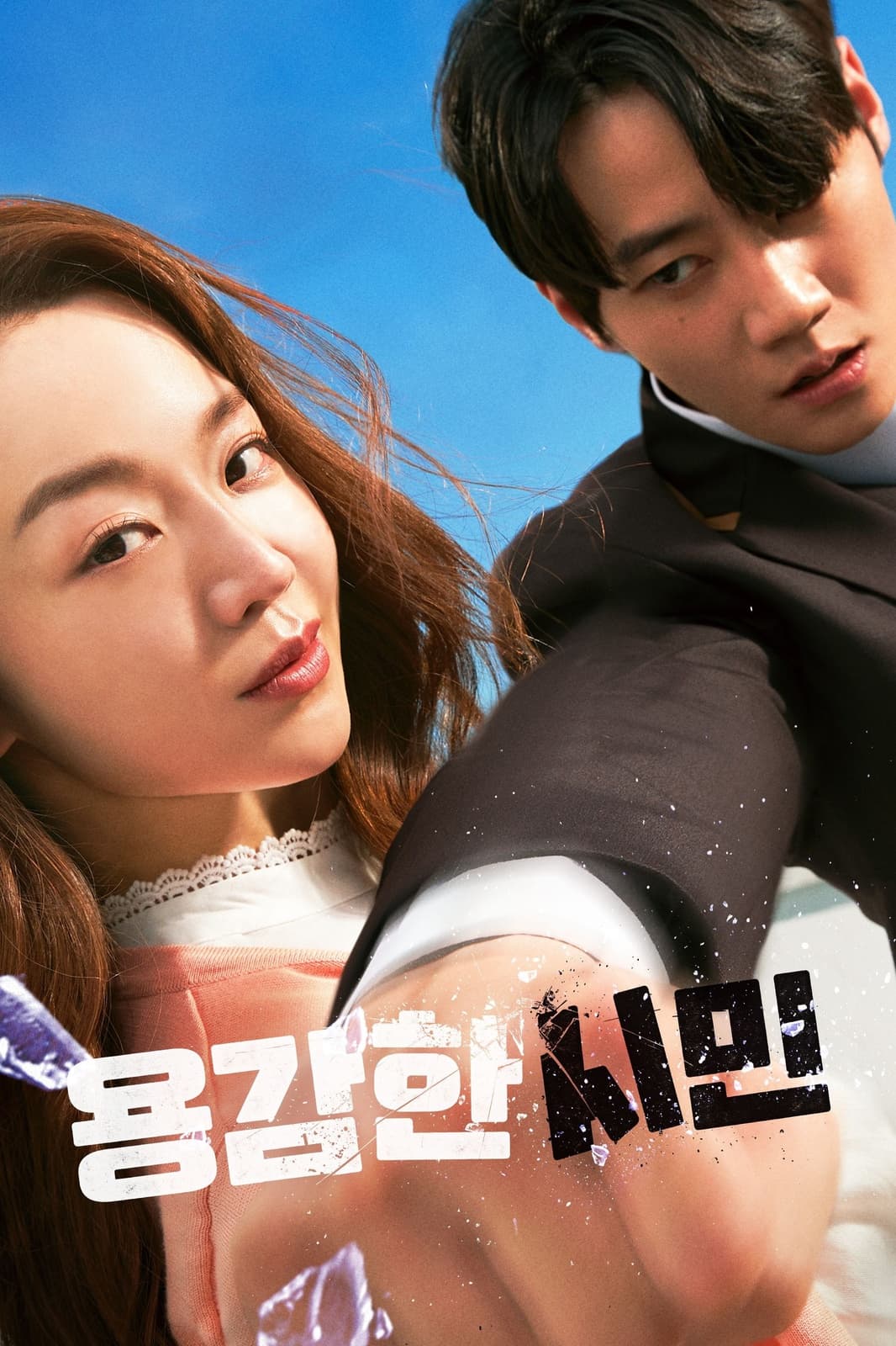 Brave Citizen - Cover