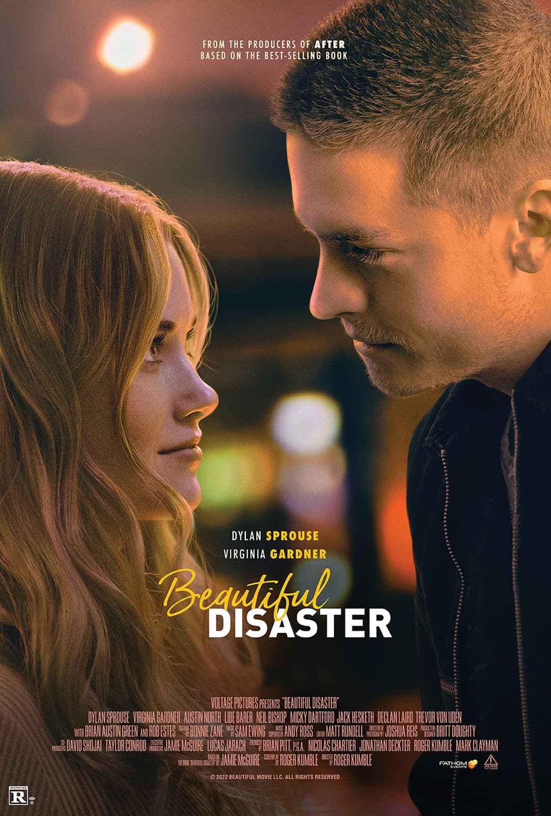 Beautiful Disaster - Memory Image