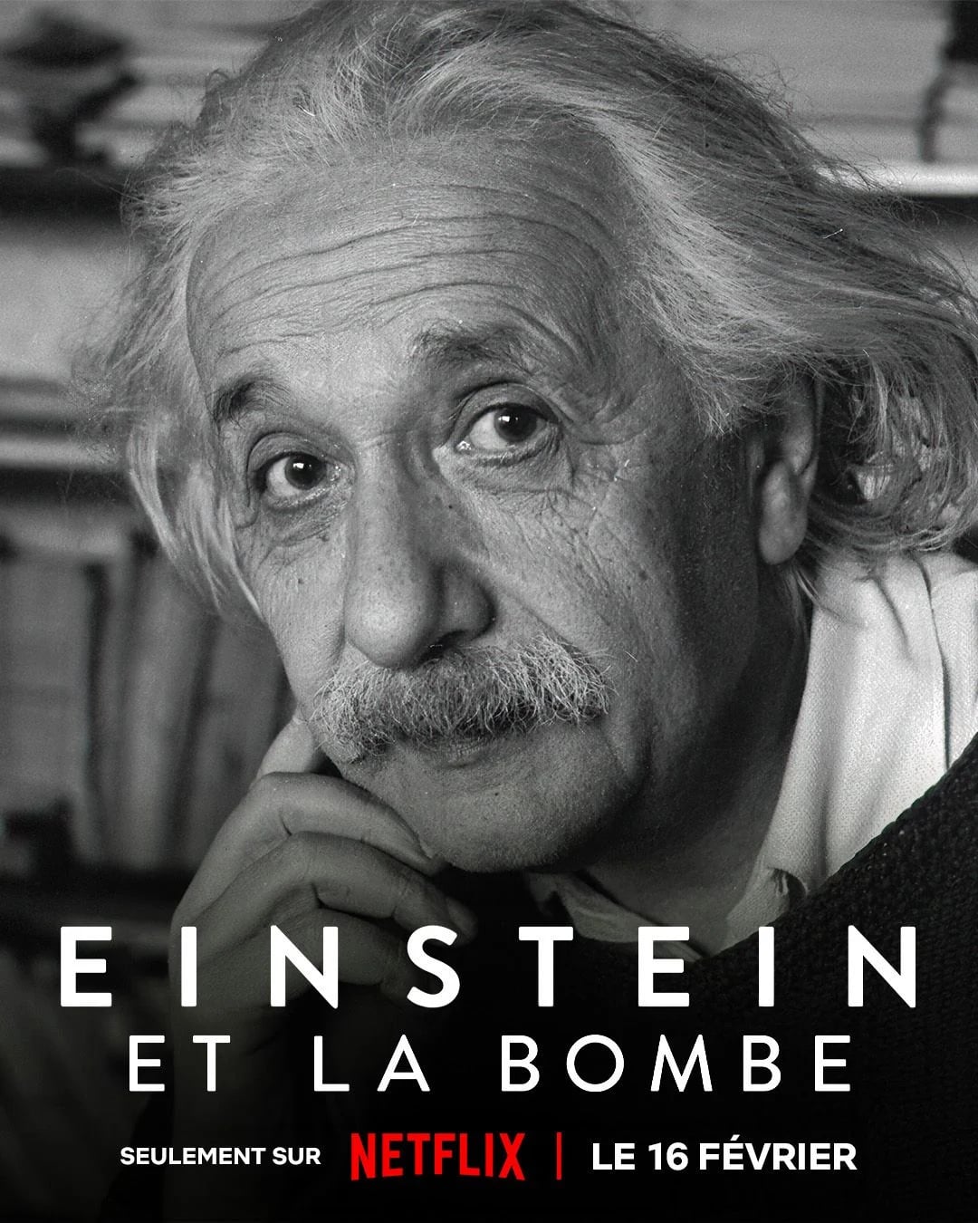 Einstein et la bombe - Cover