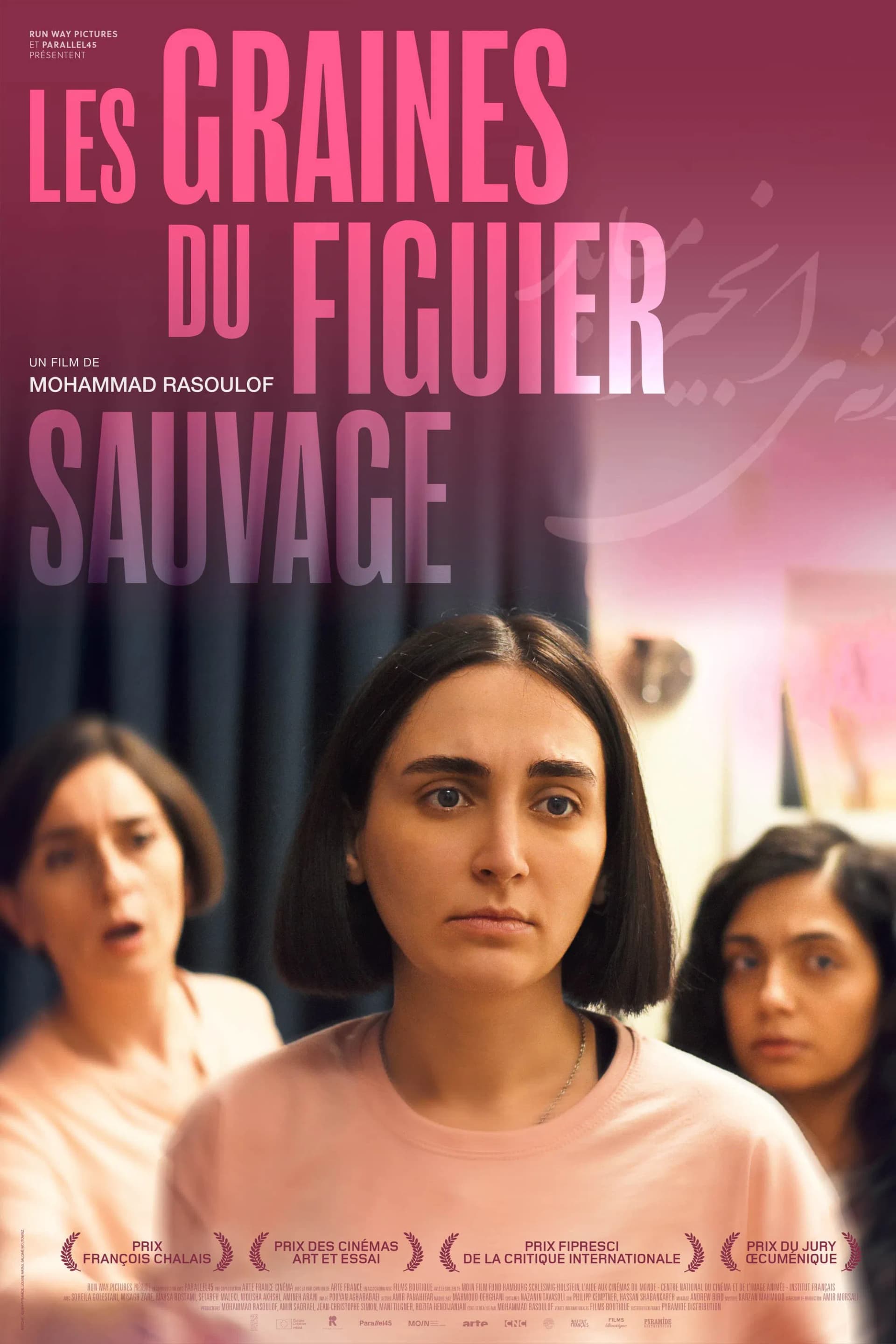 Les graines du figuier sauvage - Memory Image