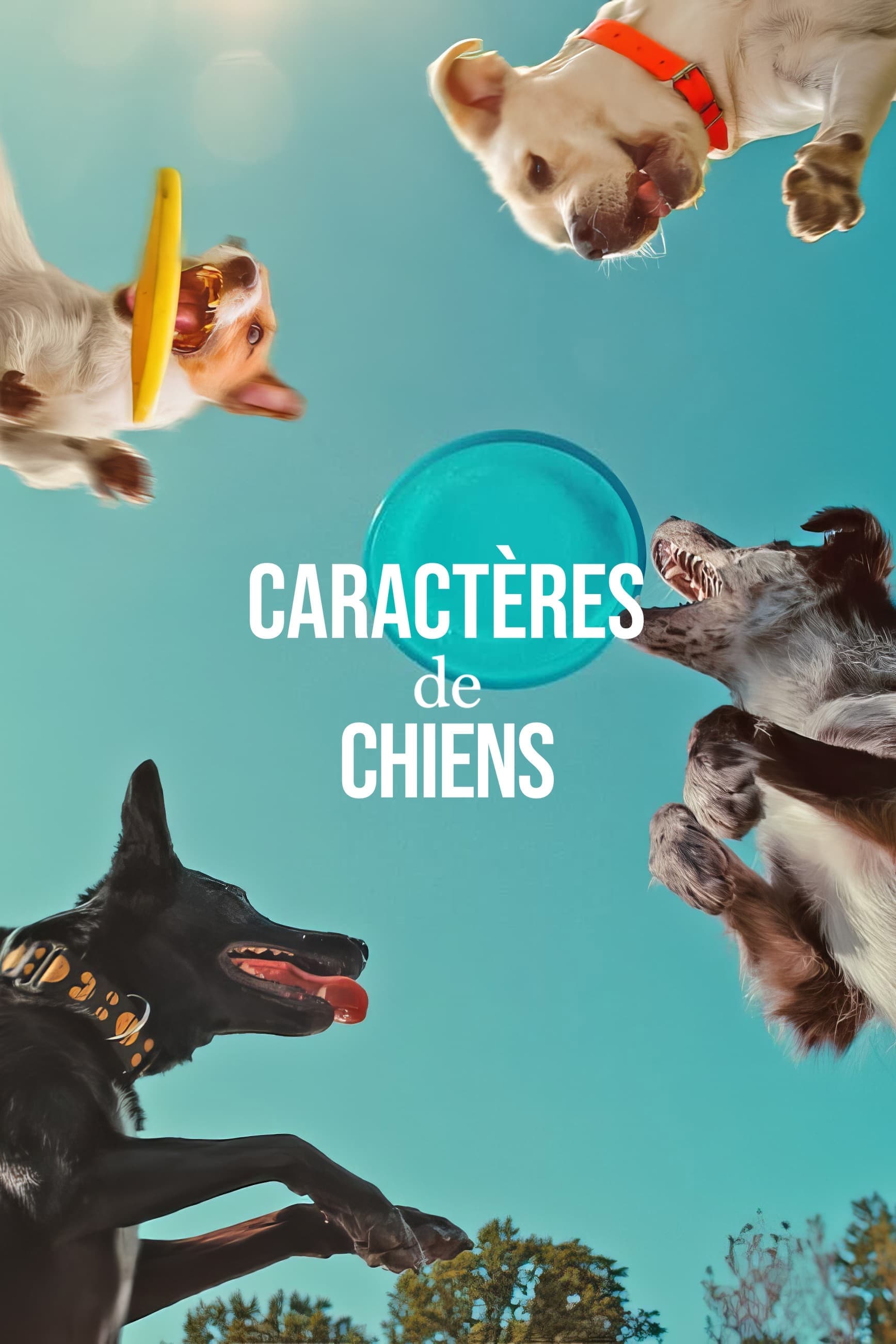 Caractères de chiens - Cover