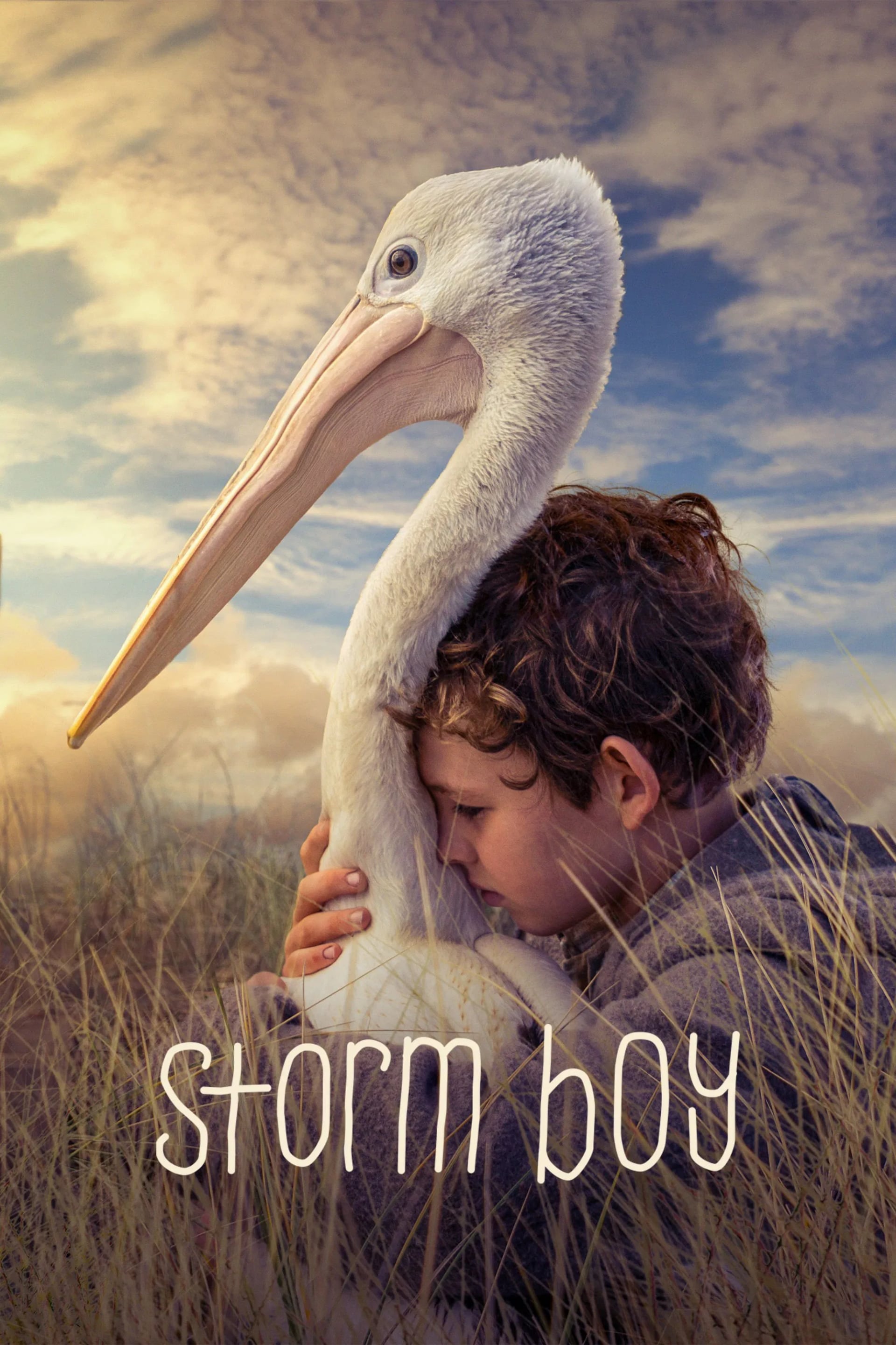 Storm Boy - Cover