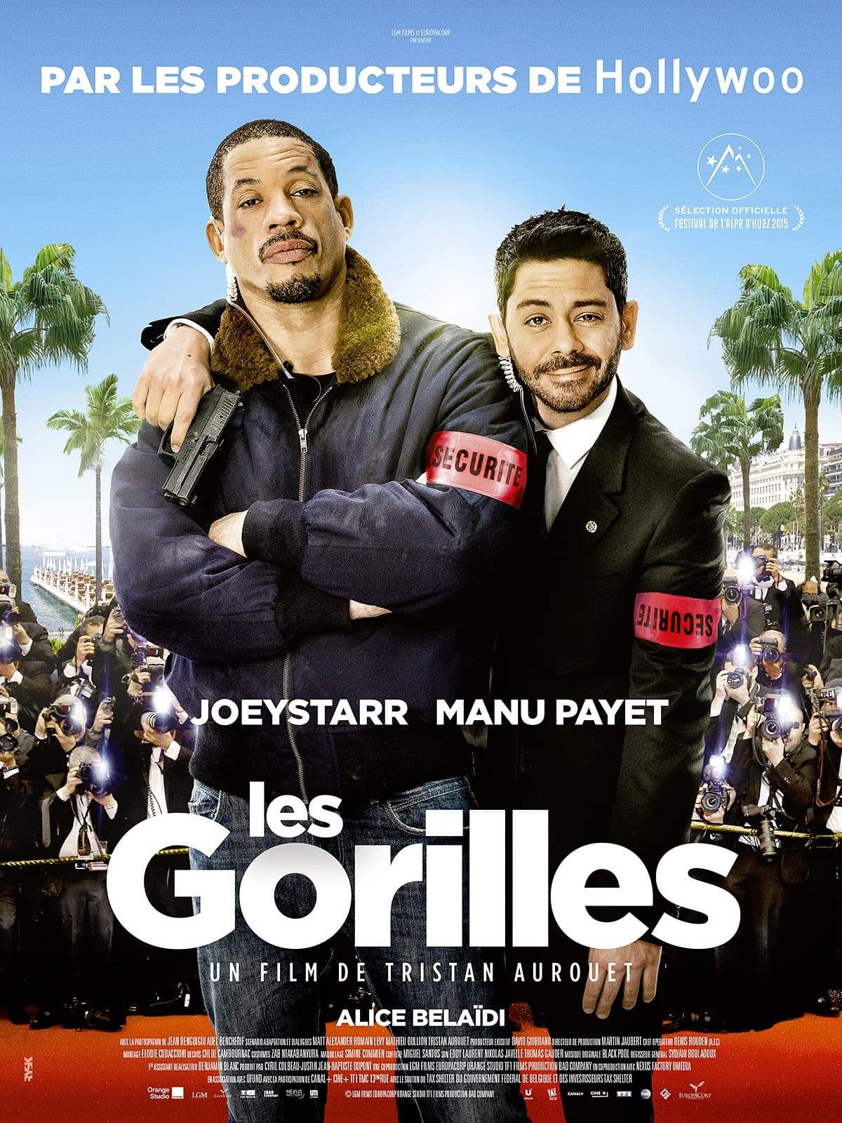 Les gorilles - Memory Image