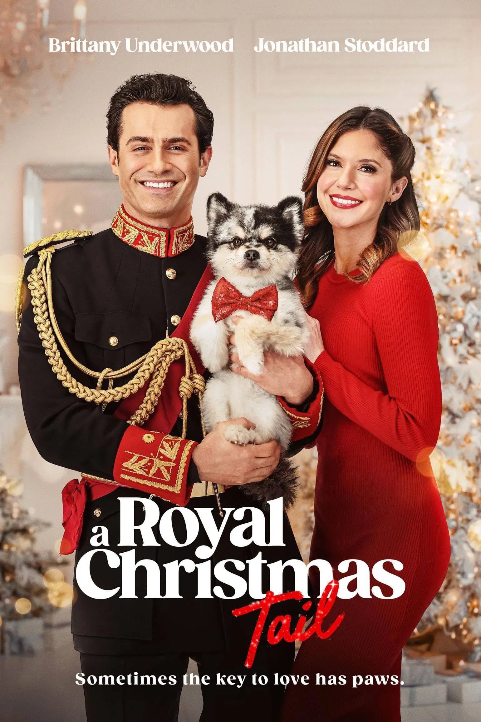 A Royal Christmas Tail - Cover