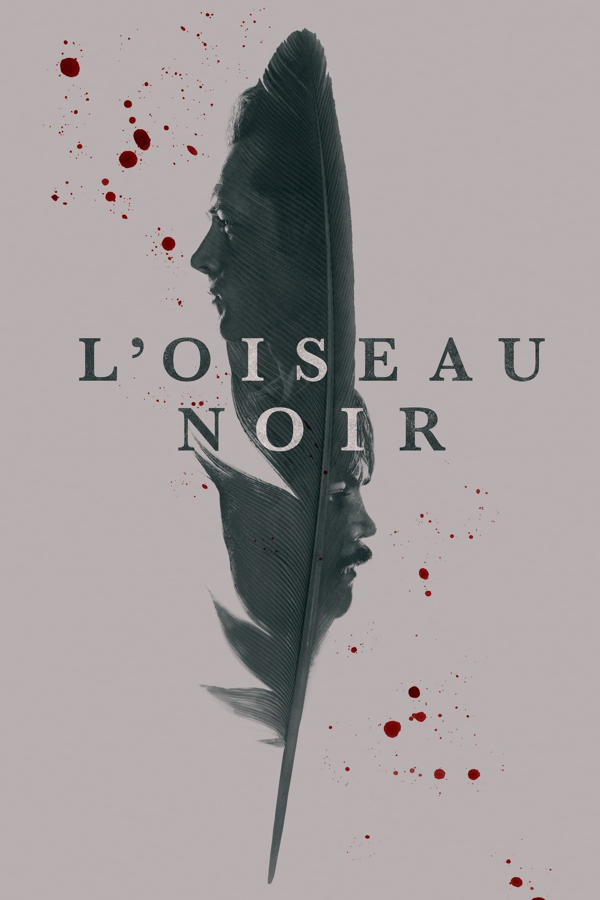 Black Bird - Memory Image