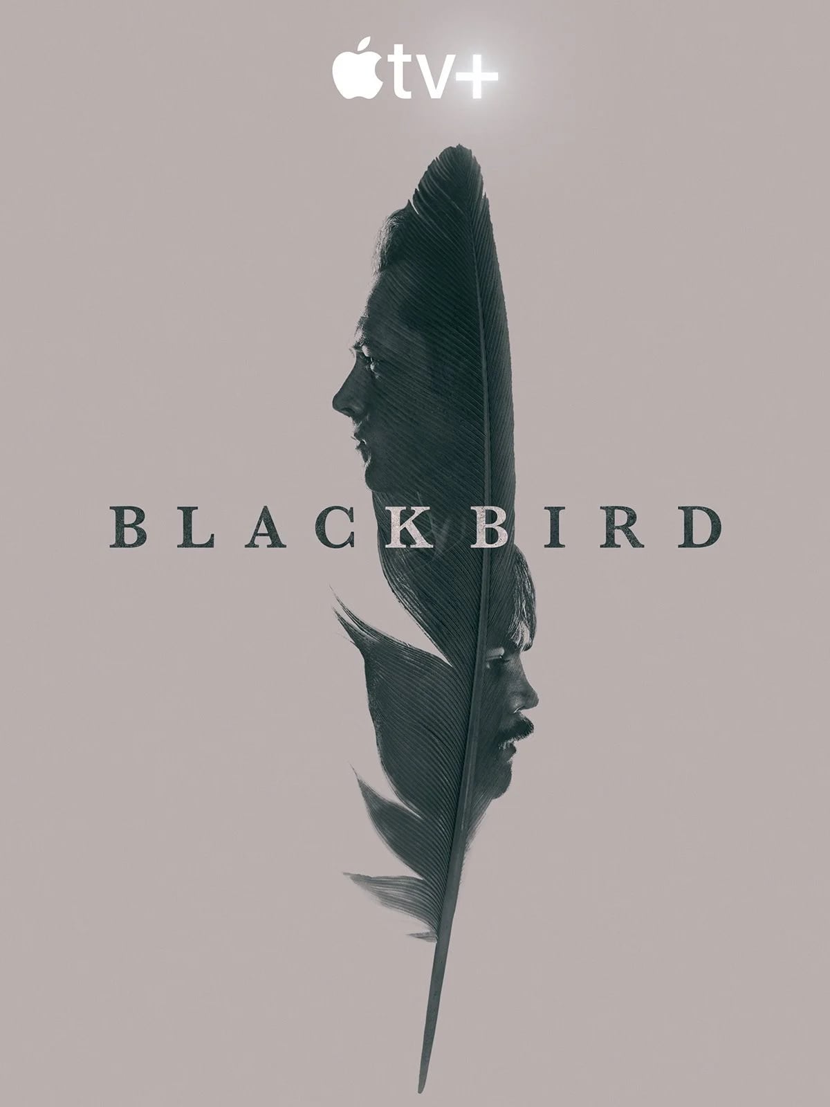 Black Bird - Cover