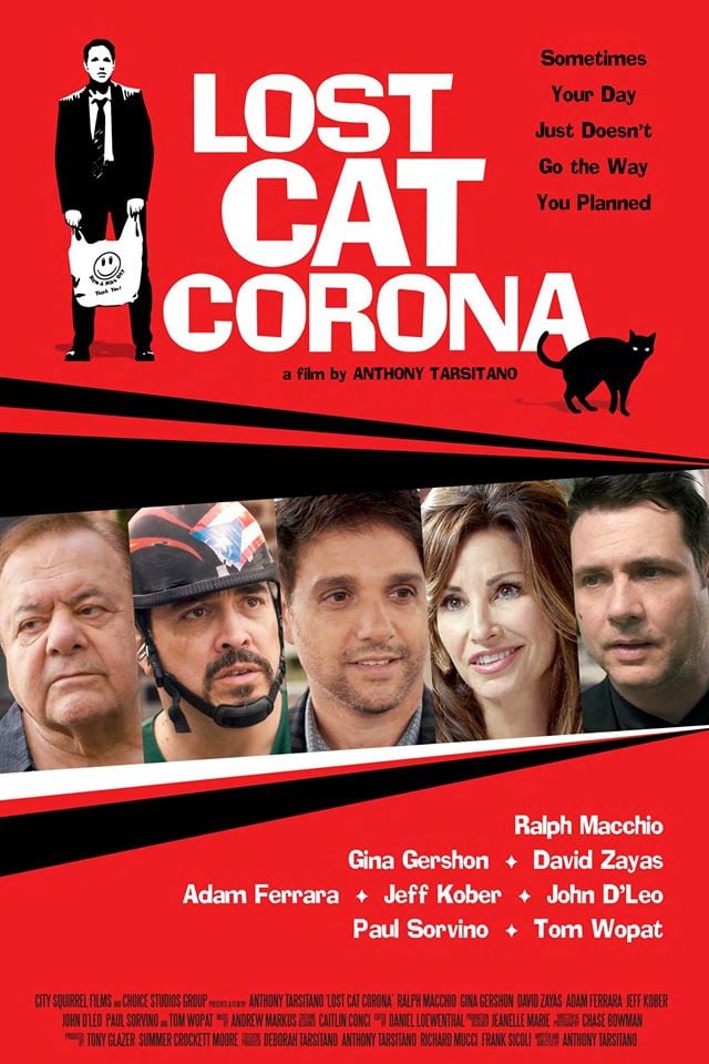 Lost Cat Corona - Cover