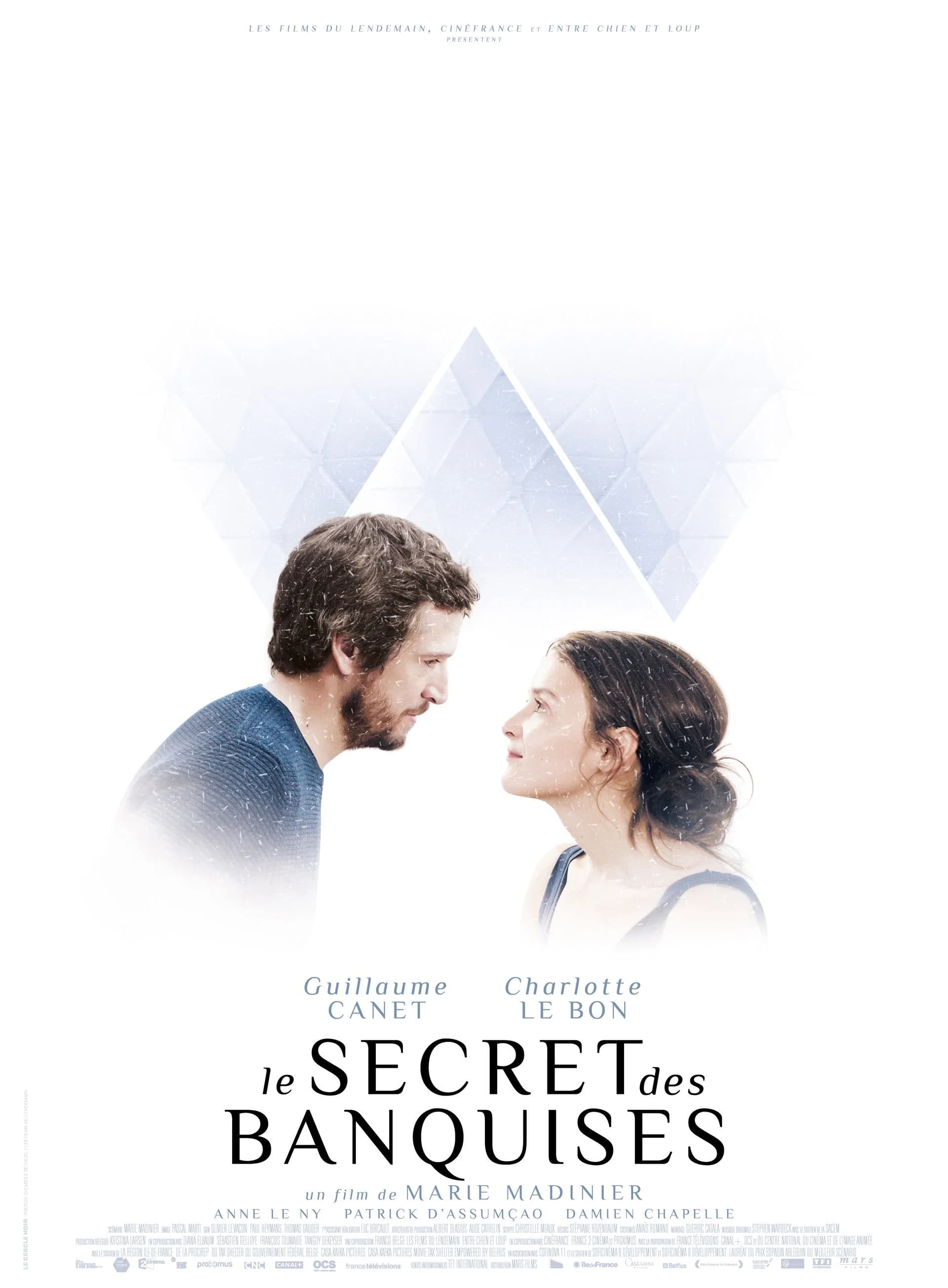 Le Secret des banquises - Cover