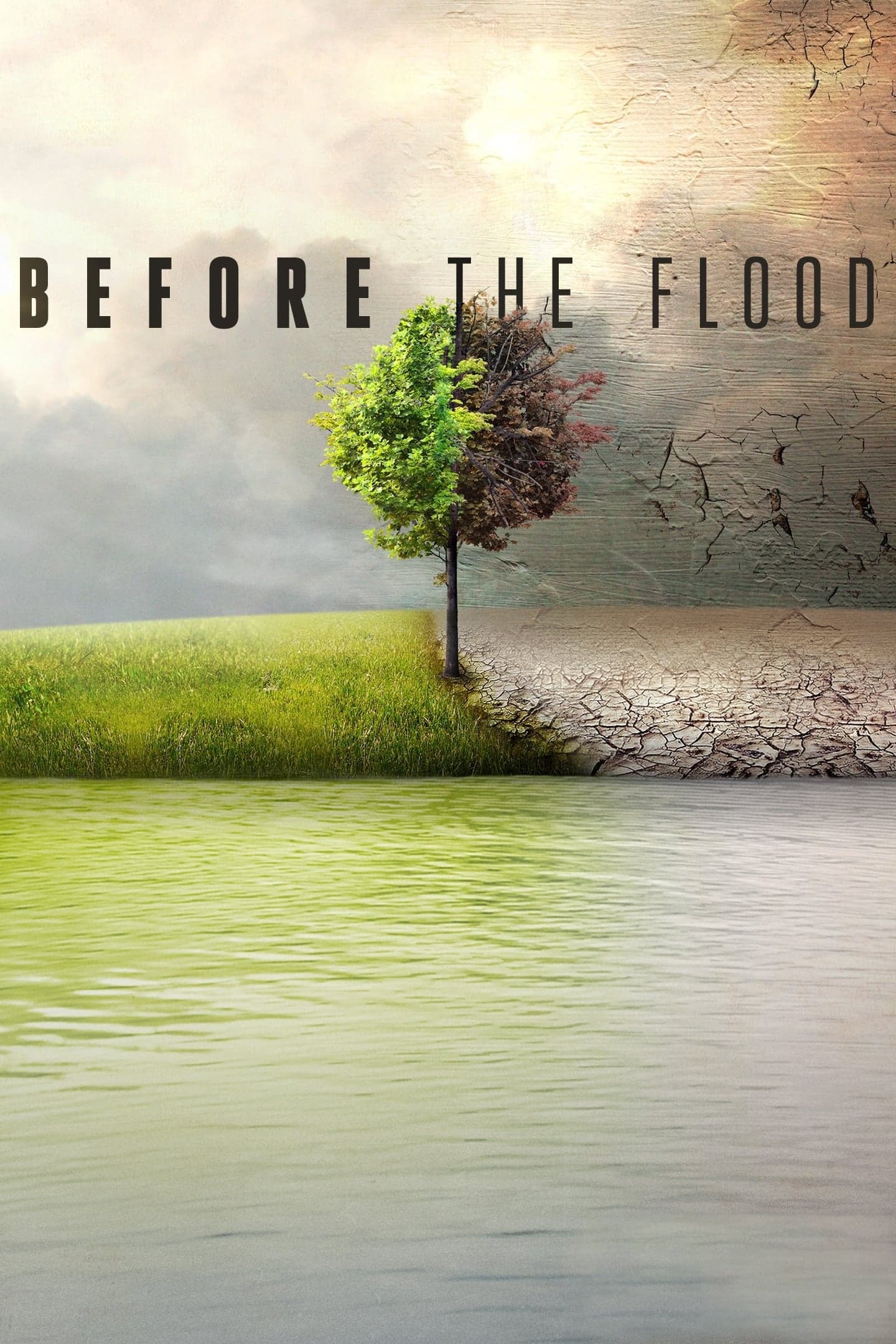Before the Flood - Cover