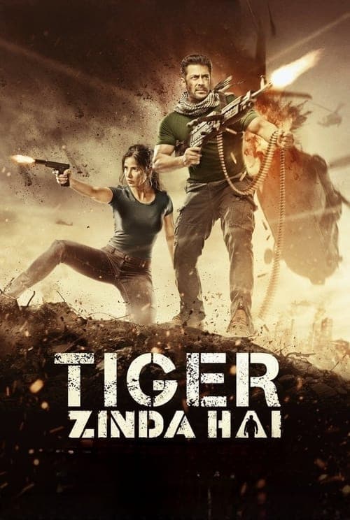 Tiger Zinda Hai - Cover