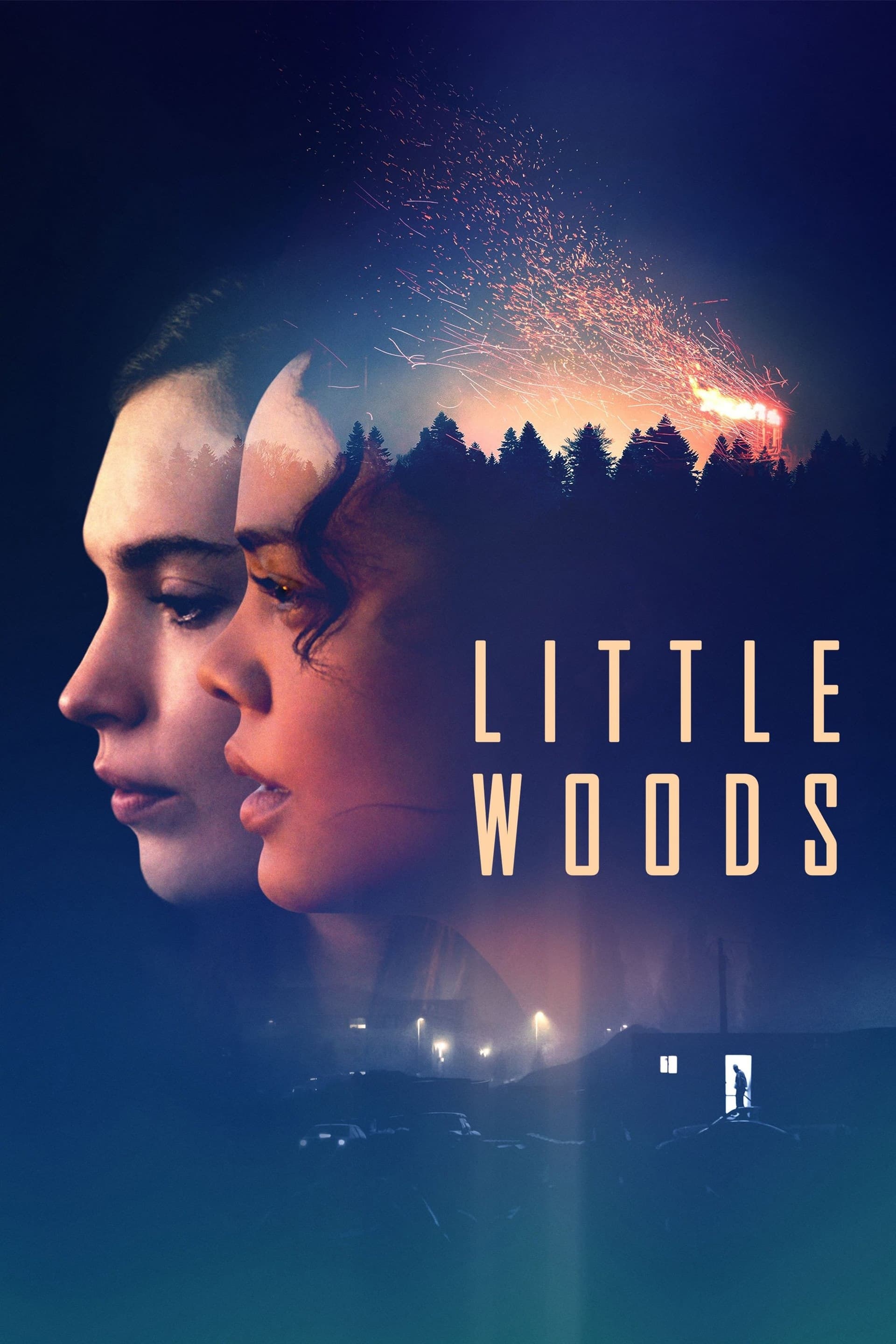 Little Woods - Memory Image