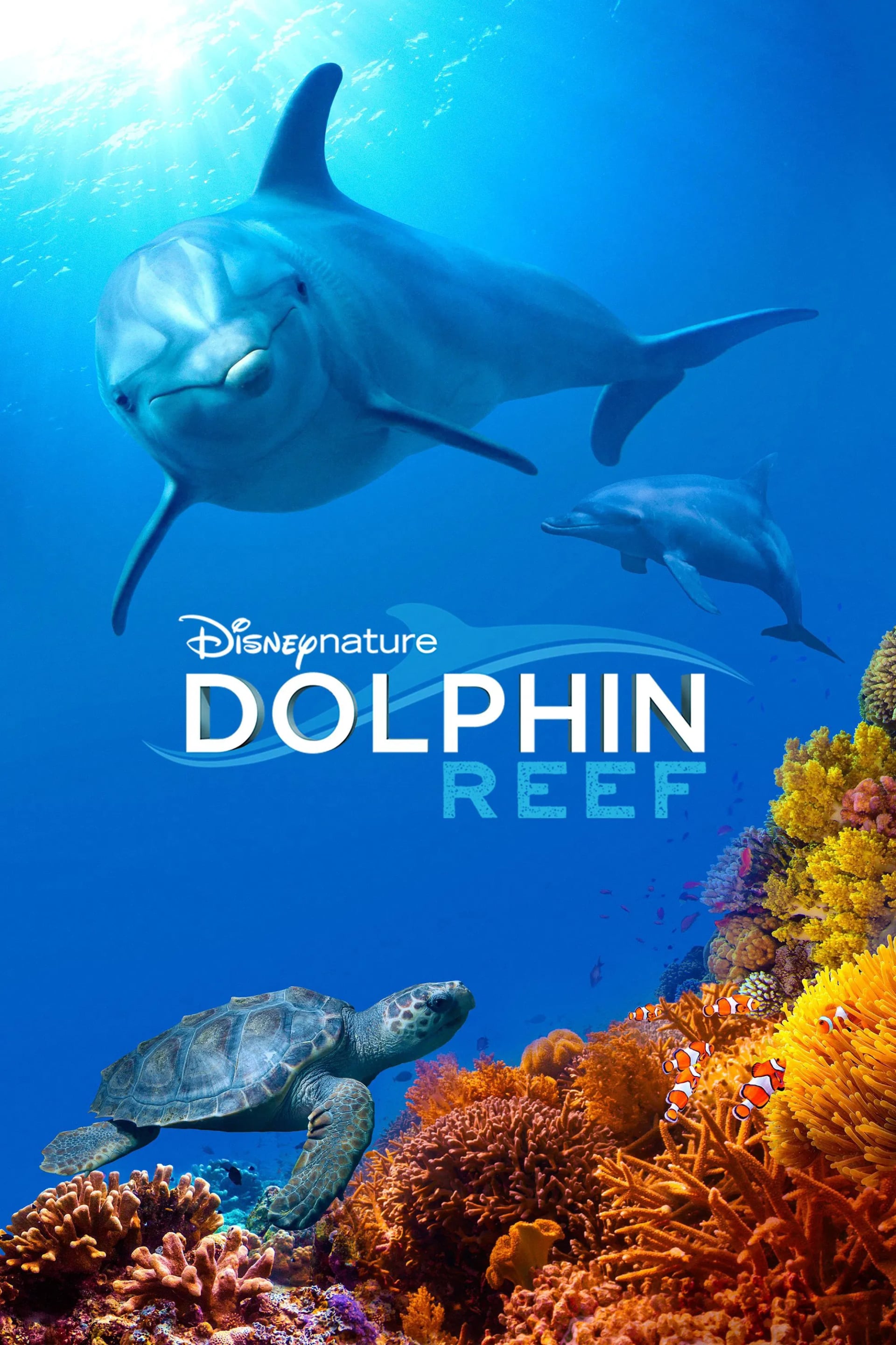 Dolphin Reef - Cover