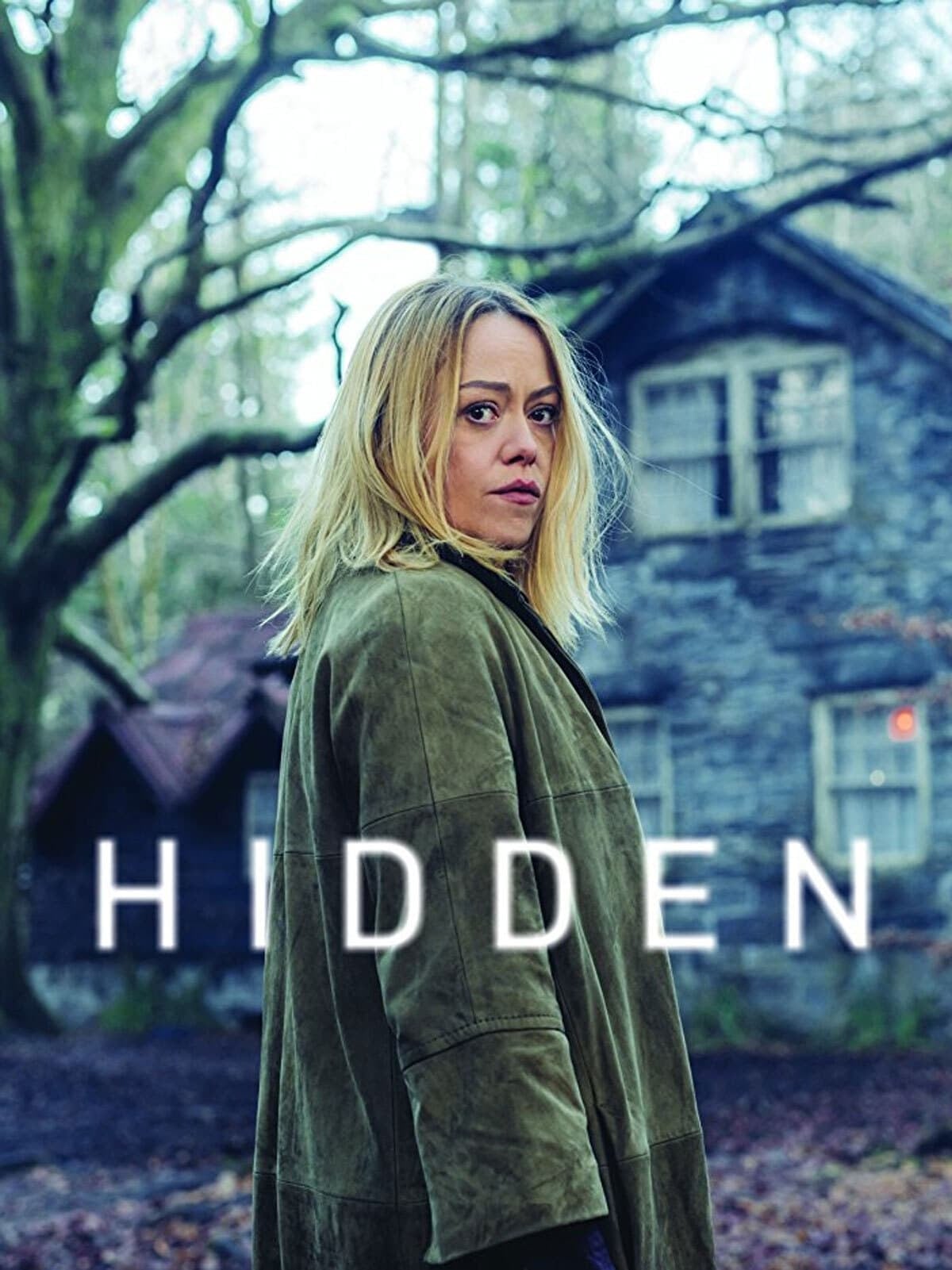 Hidden - Cover