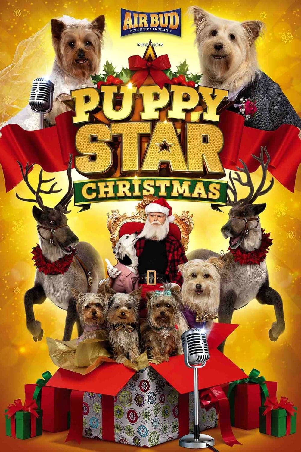 Puppy Star : c’est Noël ! - Cover