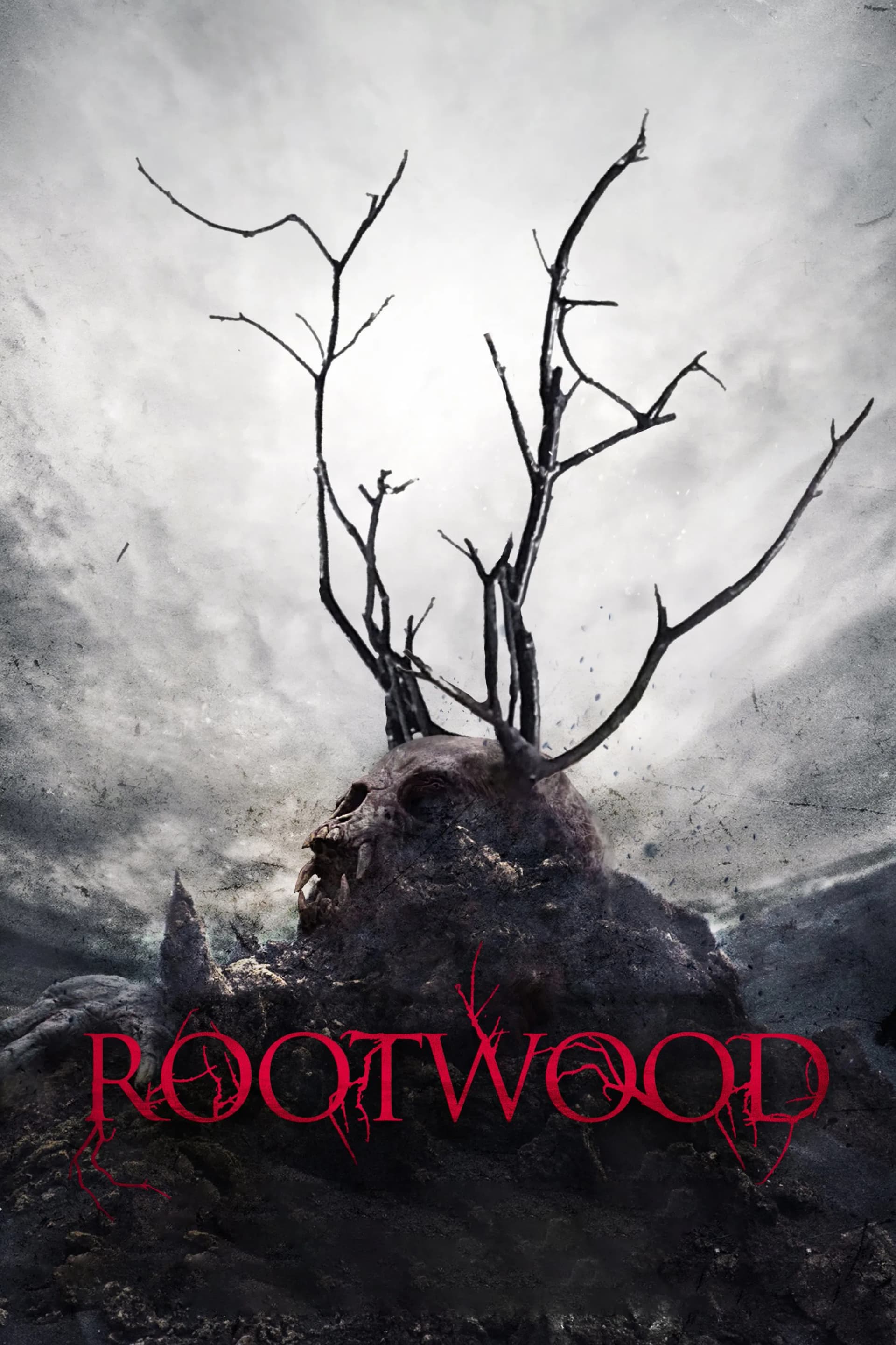 Rootwood - Cover
