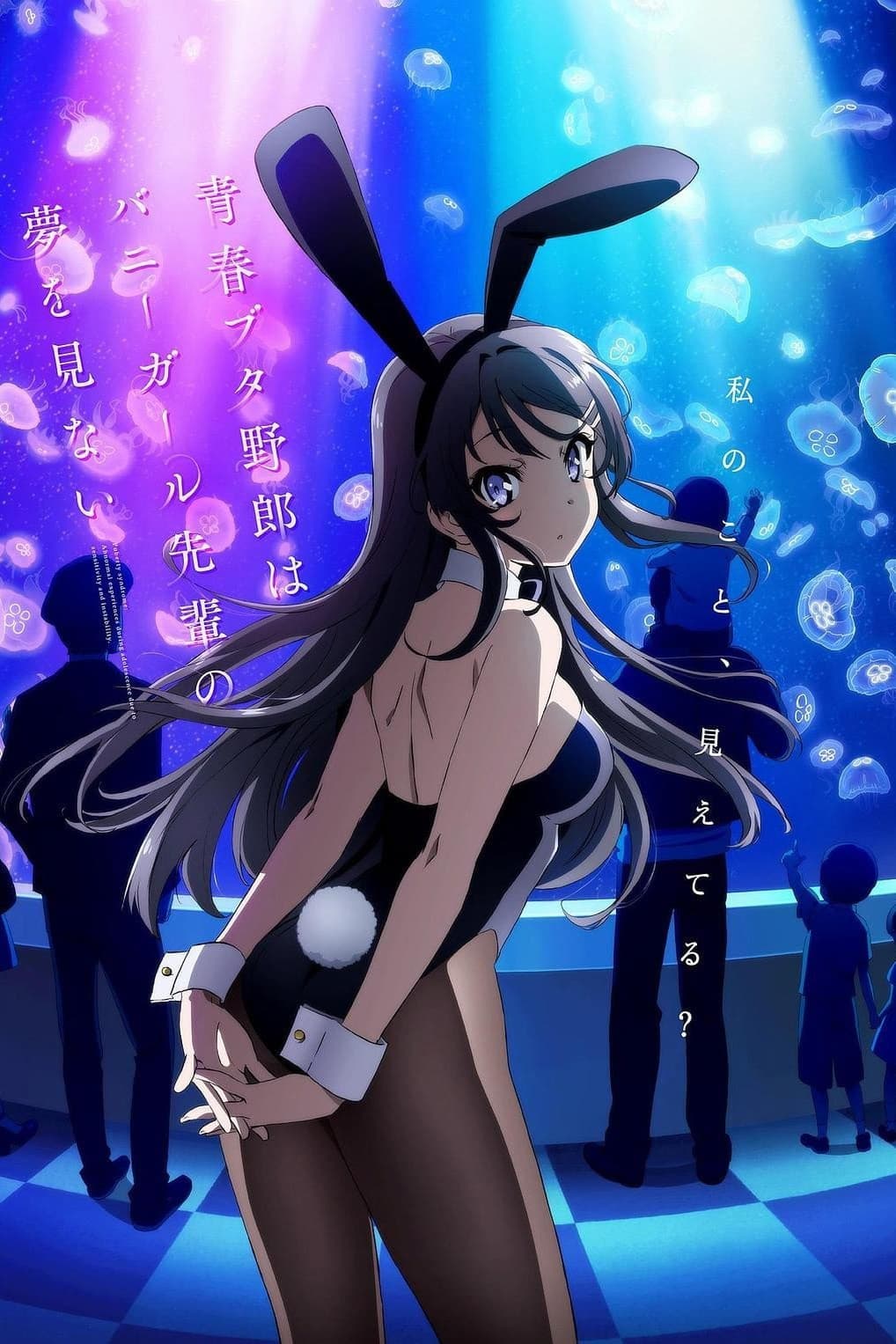 Rascal Does Not Dream of Bunny Girl Senpai - Memory Image