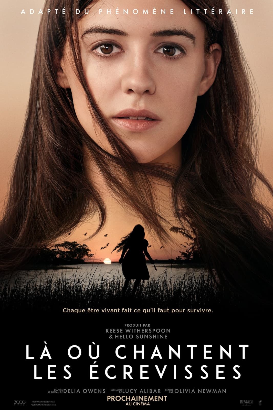 Là où chantent les écrevisses - Memory Image