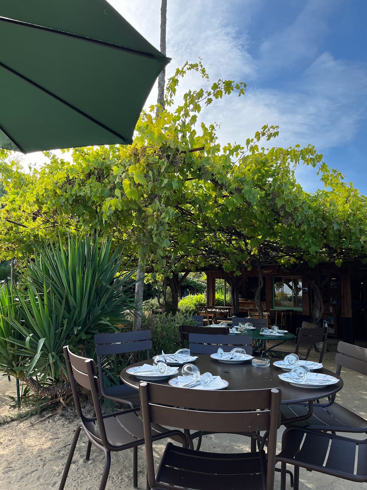 La Cabane d'Hortense - Les Youkas - Cover